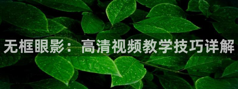 宅男视频在线免费下载：无框眼影：高清视频教学技巧详解