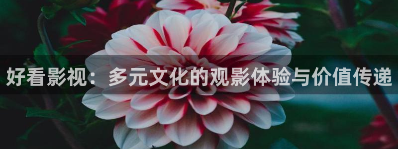 深夜宅男视频在线观看：好看影视：多元文化的观影体验与价值传递