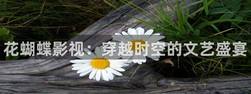 宅男视频52x：花蝴蝶影视：穿越时空的文艺盛宴