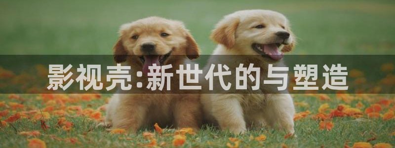 宅男视频中文字幕