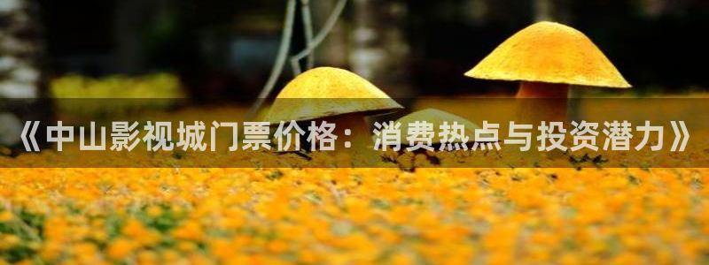 宅男视频大全：《中山影视城门票价格：消费热点与投资潜力》