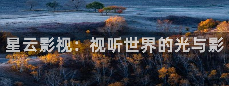 宅男视频播放：星云影视：视听世界的光与影