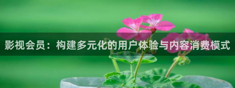 宅男视频福利在线观看