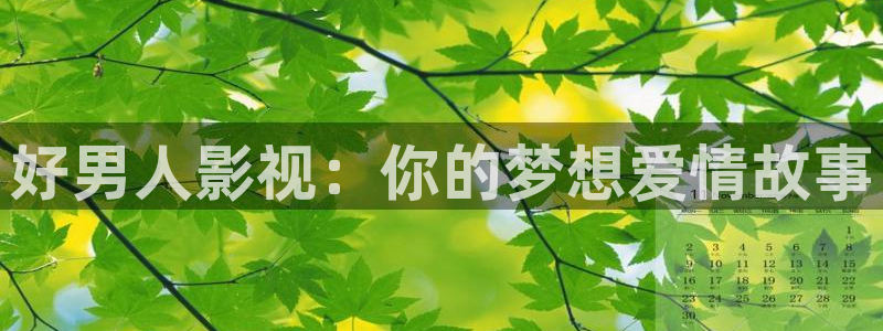 宅男视频下载安装